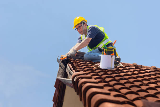 Fast & Reliable Emergency Roof Repairs in Niles, IL